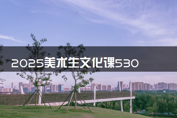 2025美术生文化课530分能上丽水学院吗