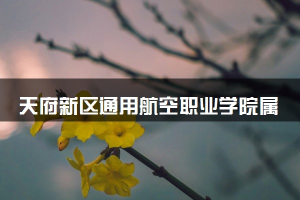 天府新区通用航空职业学院属于什么档次 学校好不好