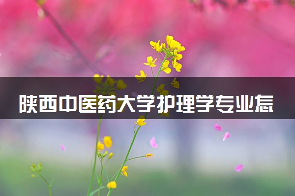 陕西中医药大学护理学专业怎么样 录取分数线多少