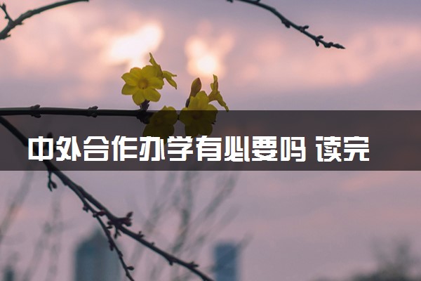 中外合作办学有必要吗 读完有什么用