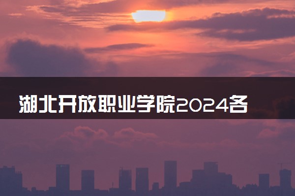 湖北开放职业学院2024各省录取分数线及最低位次是多少
