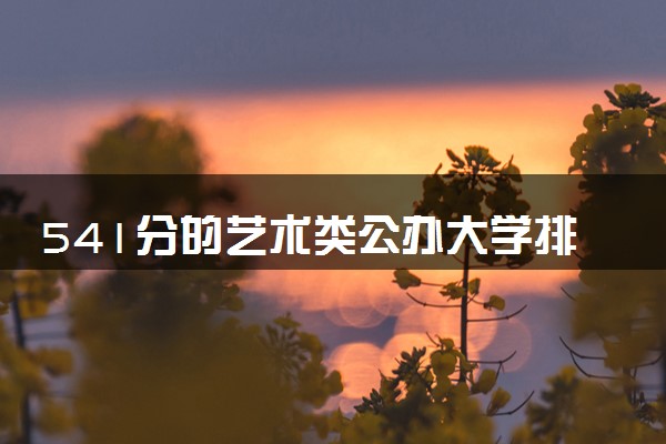 541分的艺术类公办大学排行榜（2025考生参考)