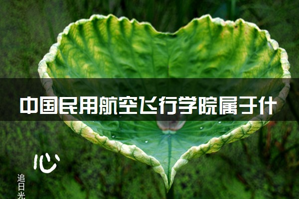 中国民用航空飞行学院属于什么档次 学校好不好