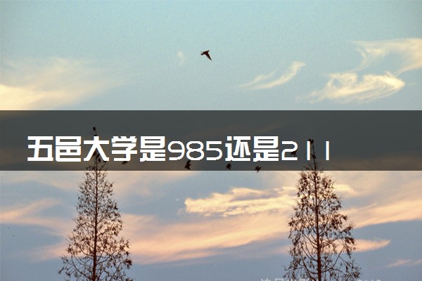 五邑大学是985还是211 含金量怎么样
