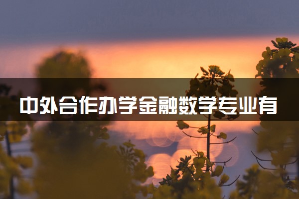 中外合作办学金融数学专业有哪些大学 就业前景怎么样