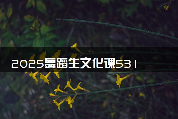 2025舞蹈生文化课531分能上兰州理工大学吗