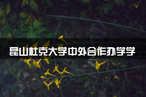 昆山杜克大学中外合作办学学费多少钱 各专业收费标准