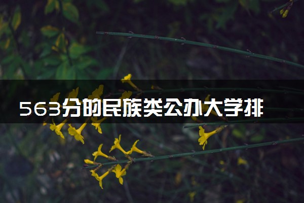 563分的民族类公办大学排行榜（2025考生参考)