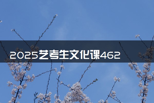 2025艺考生文化课462分能上喀什大学吗