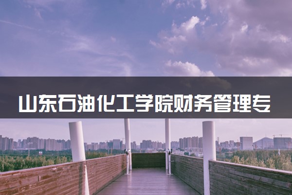 山东石油化工学院财务管理专业怎么样 录取分数线多少
