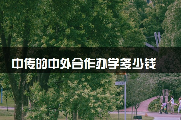 中传的中外合作办学多少钱 一年的学费贵吗