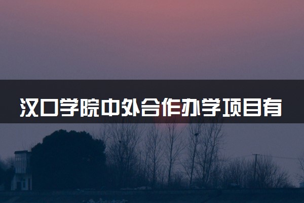 汉口学院中外合作办学项目有哪些 要出国吗