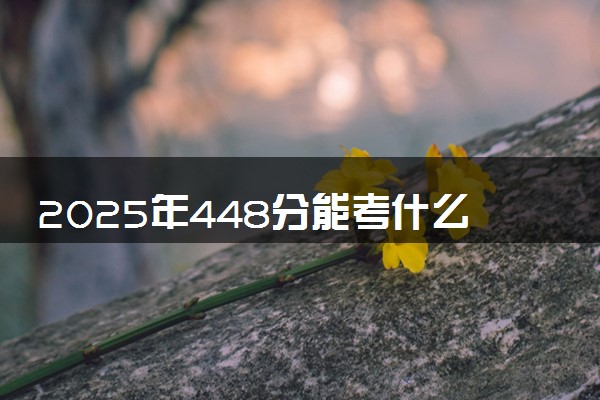 2025年448分能考什么财经类大学 哪些大学值得报