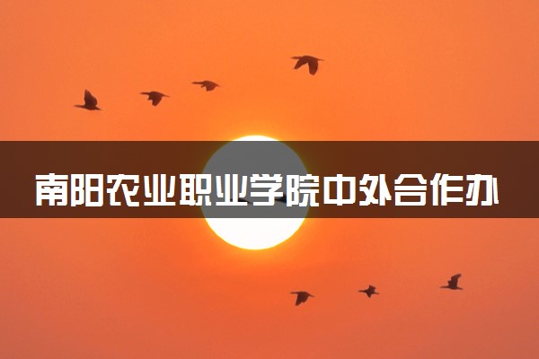 南阳农业职业学院中外合作办学专业有哪些 好就业吗