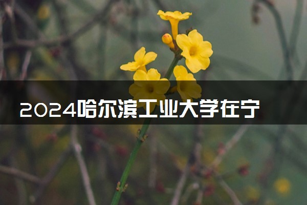 2024哈尔滨工业大学在宁夏录取分数线 各专业分数及位次