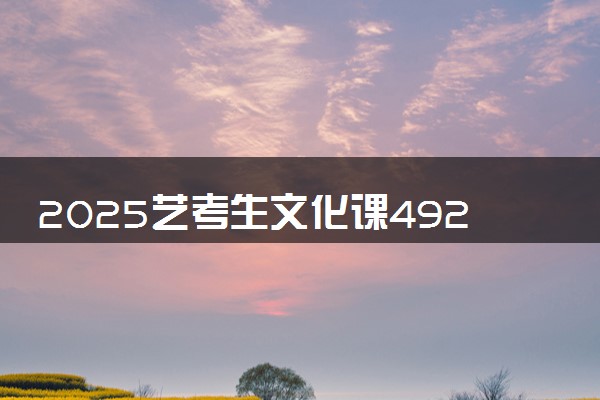 2025艺考生文化课492分能上百色学院吗