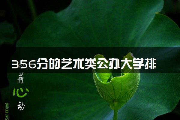 356分的艺术类公办大学排行榜（2025考生参考)