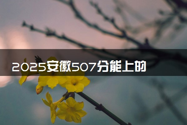 2025安徽507分能上的大学有哪些 可以报考院校名单