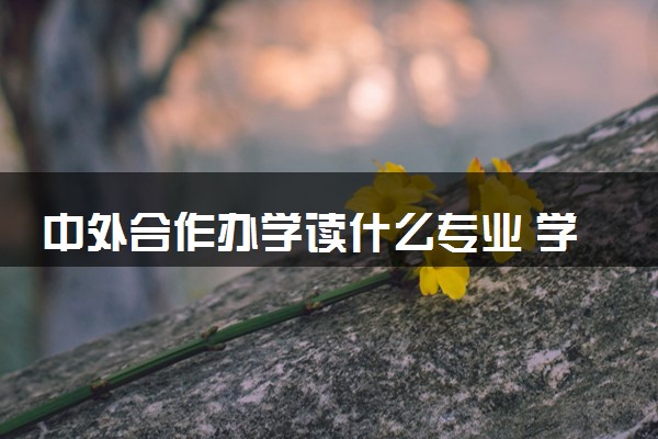 中外合作办学读什么专业 学费多少钱