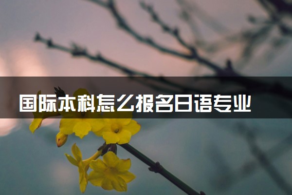 国际本科怎么报名日语专业 ‌有限制吗