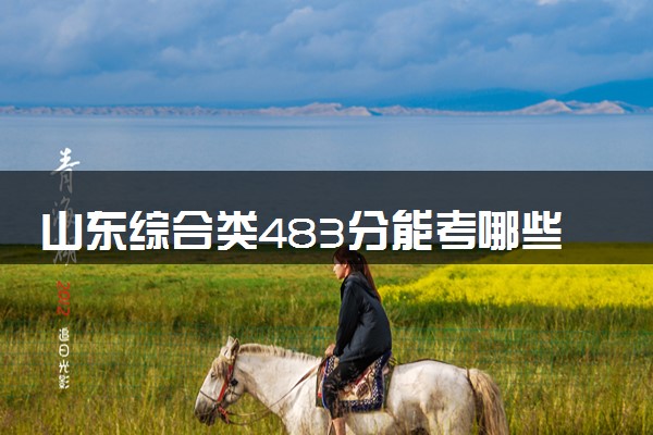山东综合类483分能考哪些大学 2025考生稳上的大学名单