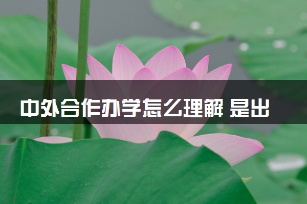 中外合作办学怎么理解 是出国读还是在国内读
