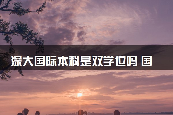 深大国际本科是双学位吗 国家认可吗