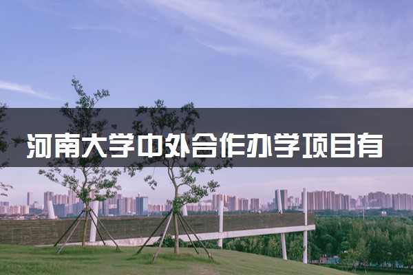 河南大学中外合作办学项目有哪些 要出国吗