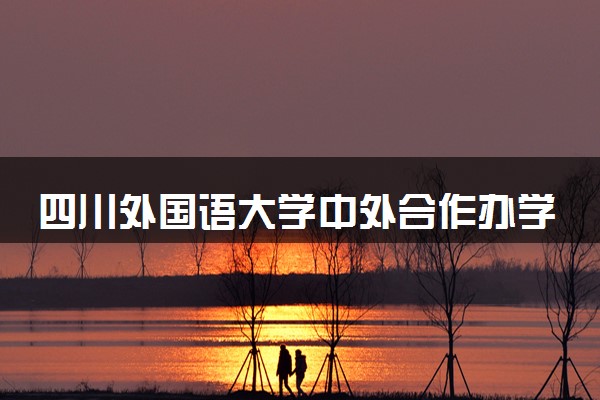 四川外国语大学中外合作办学专业有哪些 好就业吗