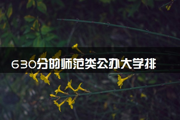 630分的师范类公办大学排行榜（2025考生参考)
