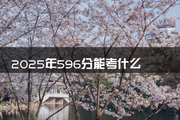 2025年596分能考什么艺术类大学 哪些大学值得报