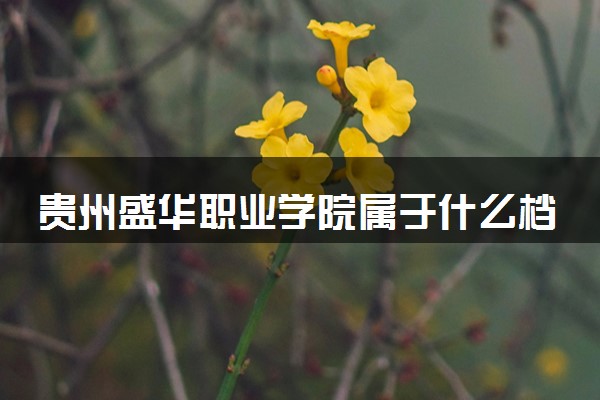 贵州盛华职业学院属于什么档次 学校好不好