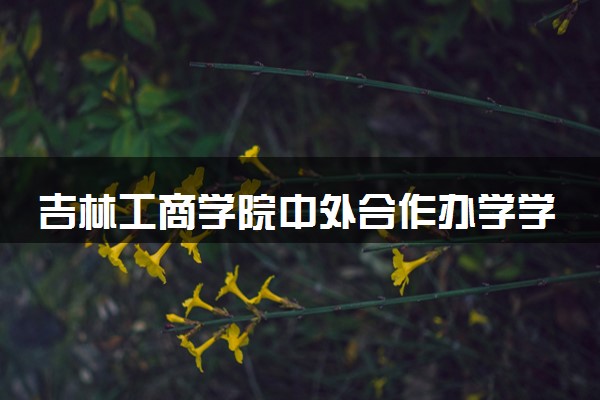 吉林工商学院中外合作办学学费多少钱 各专业收费标准