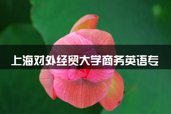 上海对外经贸大学商务英语专业怎么样 录取分数线多少