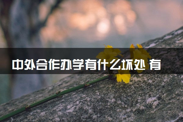 中外合作办学有什么坏处 有哪些优缺点