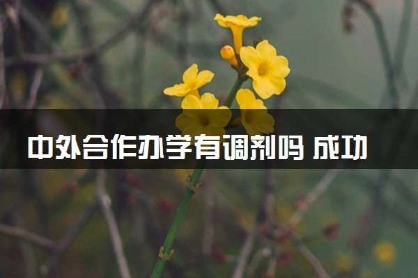 中外合作办学有调剂吗 成功率高吗