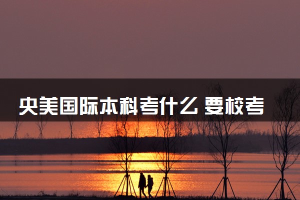 央美国际本科考什么 要校考吗
