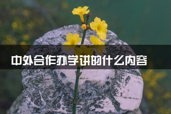 中外合作办学讲的什么内容 授课是哪国语言