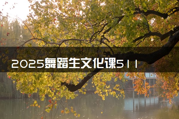 2025舞蹈生文化课511分能上西安财经大学吗