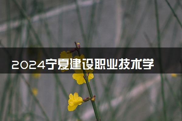 2024宁夏建设职业技术学院在青海录取分数线 各专业分数及位次