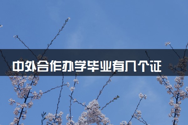 中外合作办学毕业有几个证 主要有什么区别