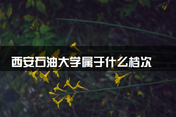 西安石油大学属于什么档次 学校好不好