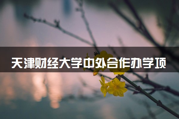 天津财经大学中外合作办学项目有哪些 要出国吗