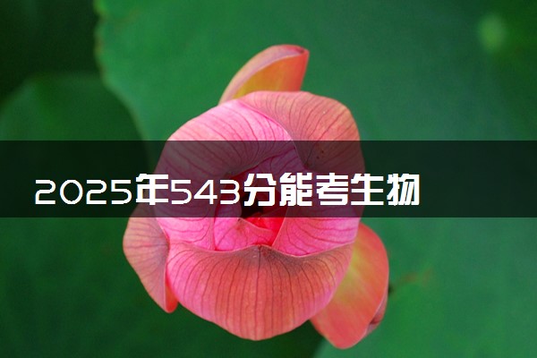 2025年543分能考生物技术专业吗 543分生物技术专业大学推荐