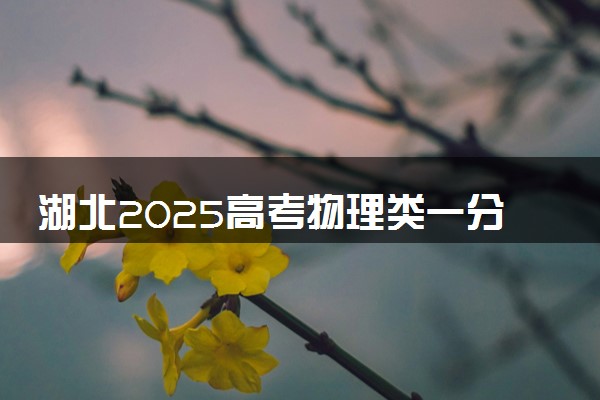 湖北2025高考物理类一分一段表最新 排名位次对照