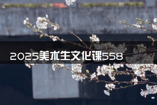 2025美术生文化课558分能上合肥工业大学吗