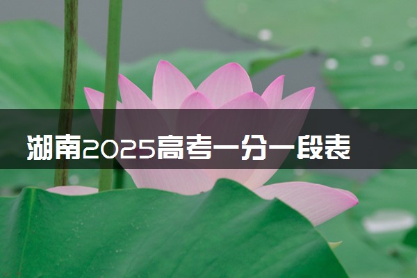 湖南2025高考一分一段表汇总 排名统计一览