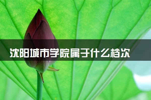 沈阳城市学院属于什么档次 学校好不好