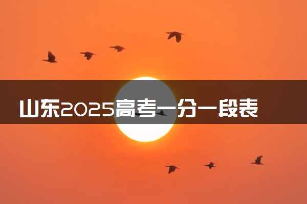 山东2025高考一分一段表汇总 排名统计一览