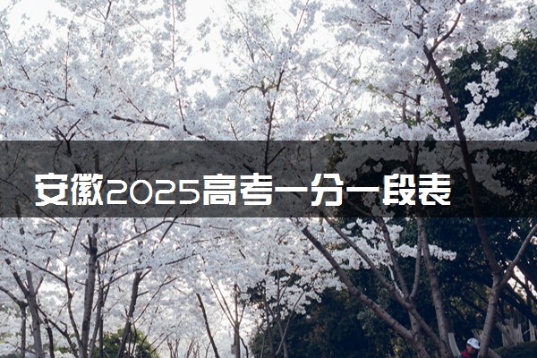 安徽2025高考一分一段表汇总 排名统计一览